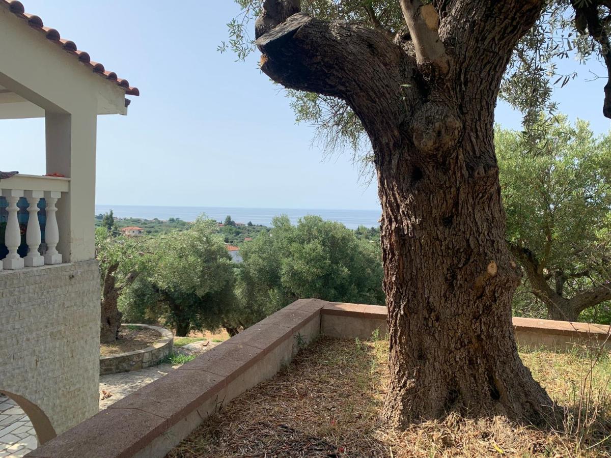 Olive Stone Villa Неа-Скіоні Екстер'єр фото