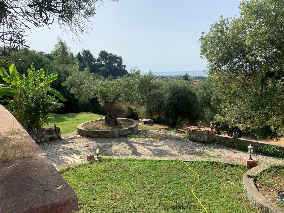 Olive Stone Villa Неа-Скіоні Екстер'єр фото